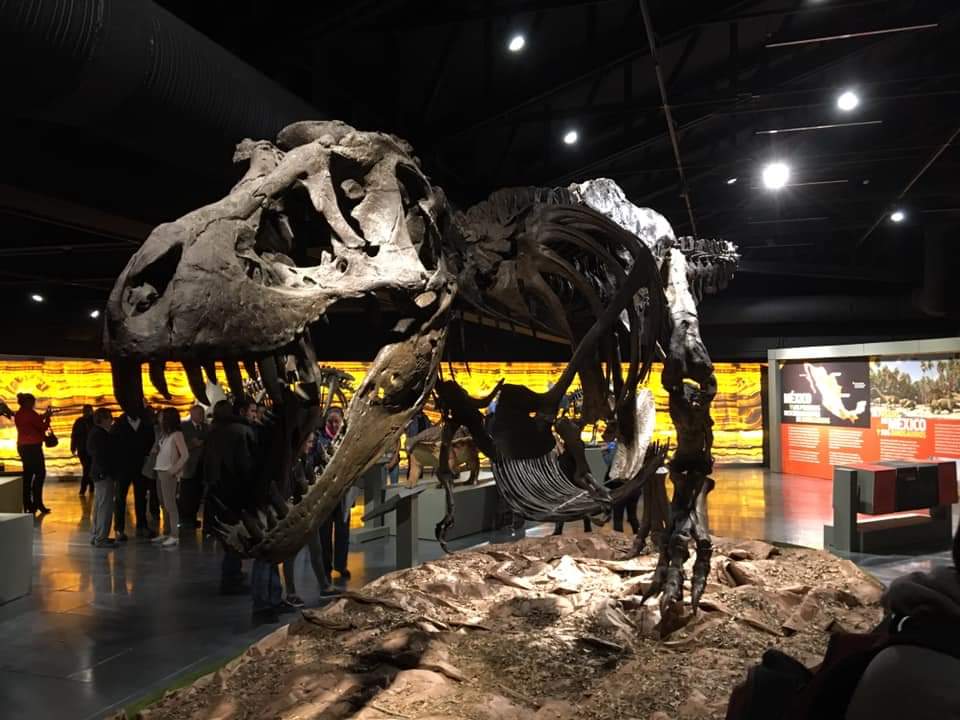 Exposición de dinosaurios en Centro Cultural Toluca