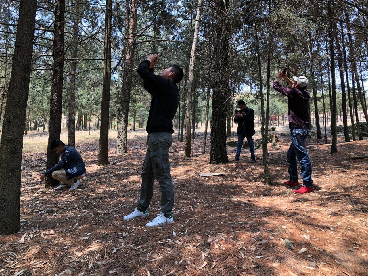 Toluca entre las 20 primeras ciudades a nivel mundial en el Reto Naturalista Urbano 2019