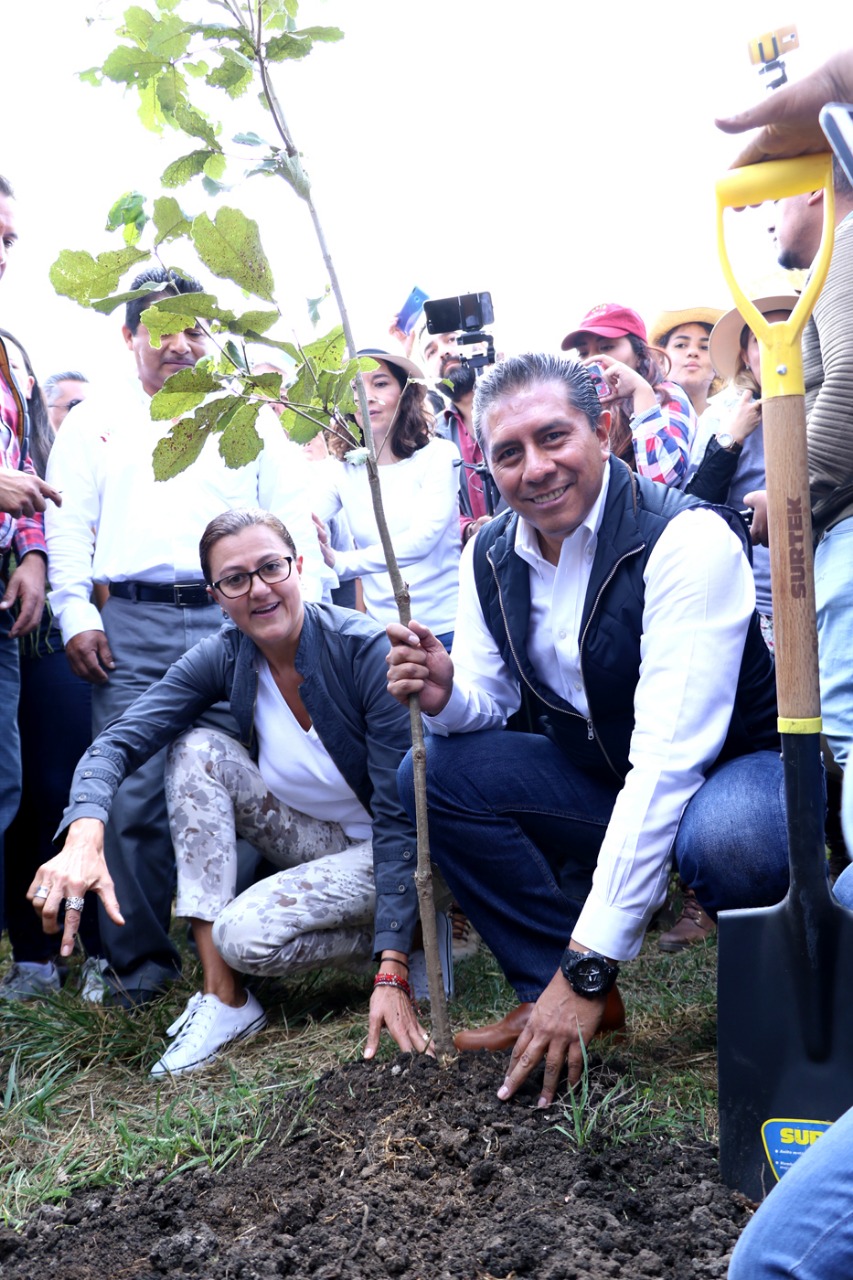 410 mil árboles han sido plantados en Toluca con campaña de reforestación