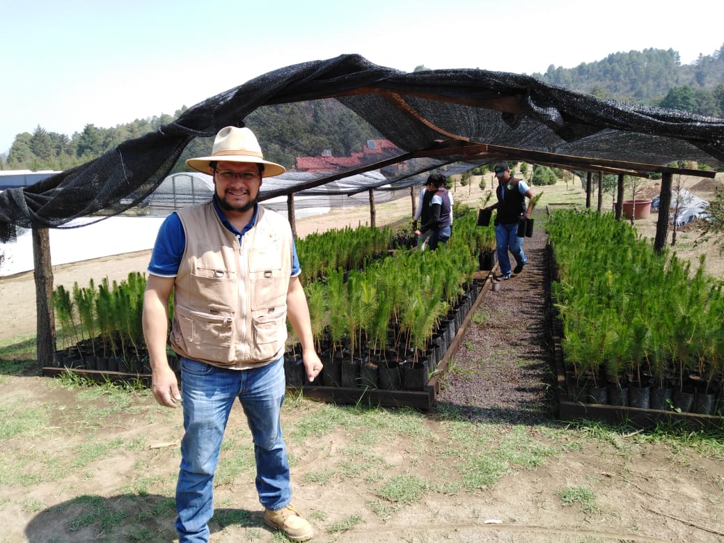 Crean en Amecameca el primer vivero forestal comunitario