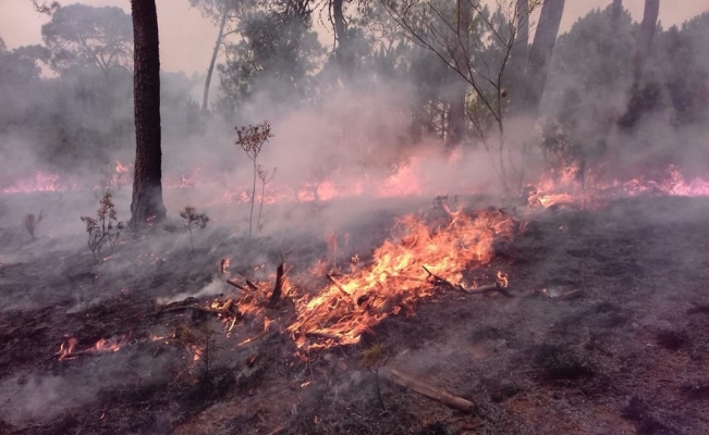 Mil 394 los incendios en lo que va del año en el Estado de México.