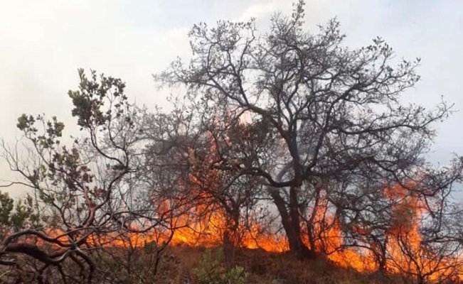 7 incendios activos en Edomex