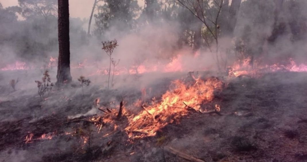 EdoMéx: El Estado con más incendios