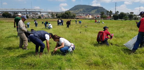 Calendario de campaña de reforestación Toluca 2019