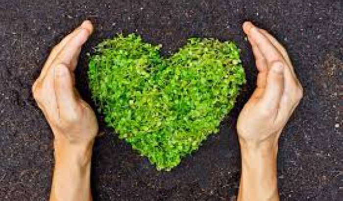 10 consejos para cuidar el medio ambiente