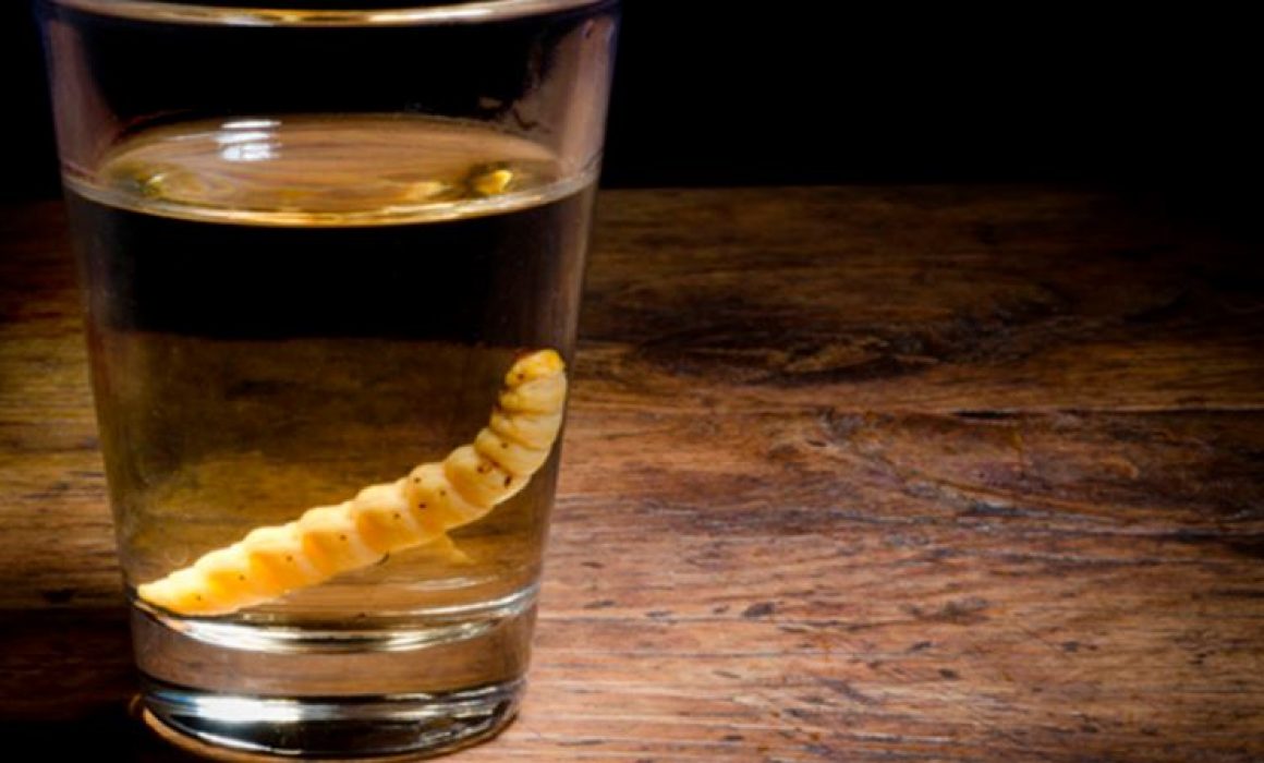 Pierde Edomex denominación de origen del mezcal