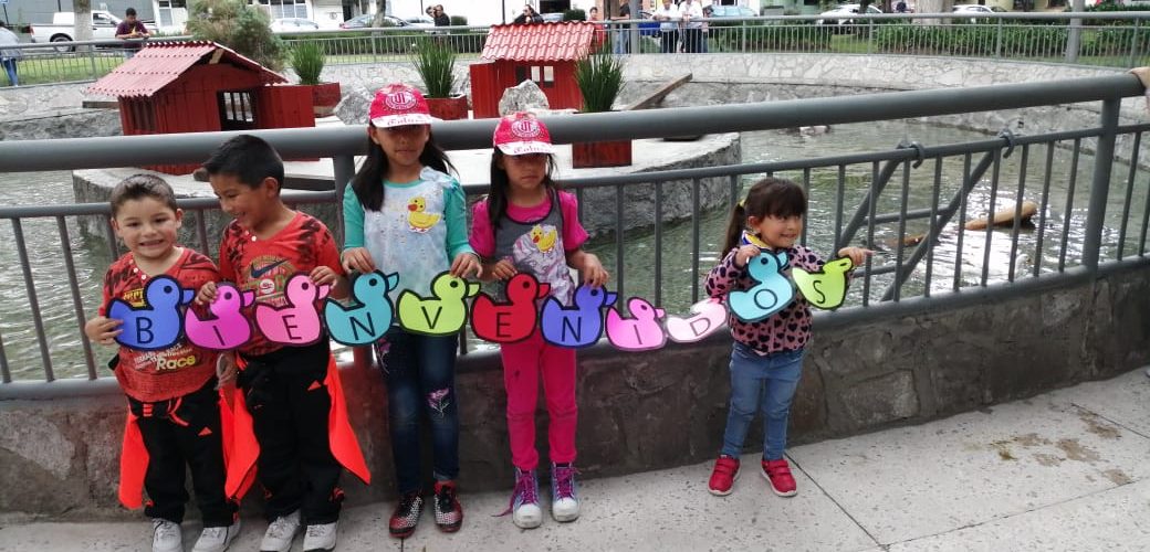 Dan bienvenida a 10 nuevos patos inquilinos del estanque de la Alameda Central de Toluca