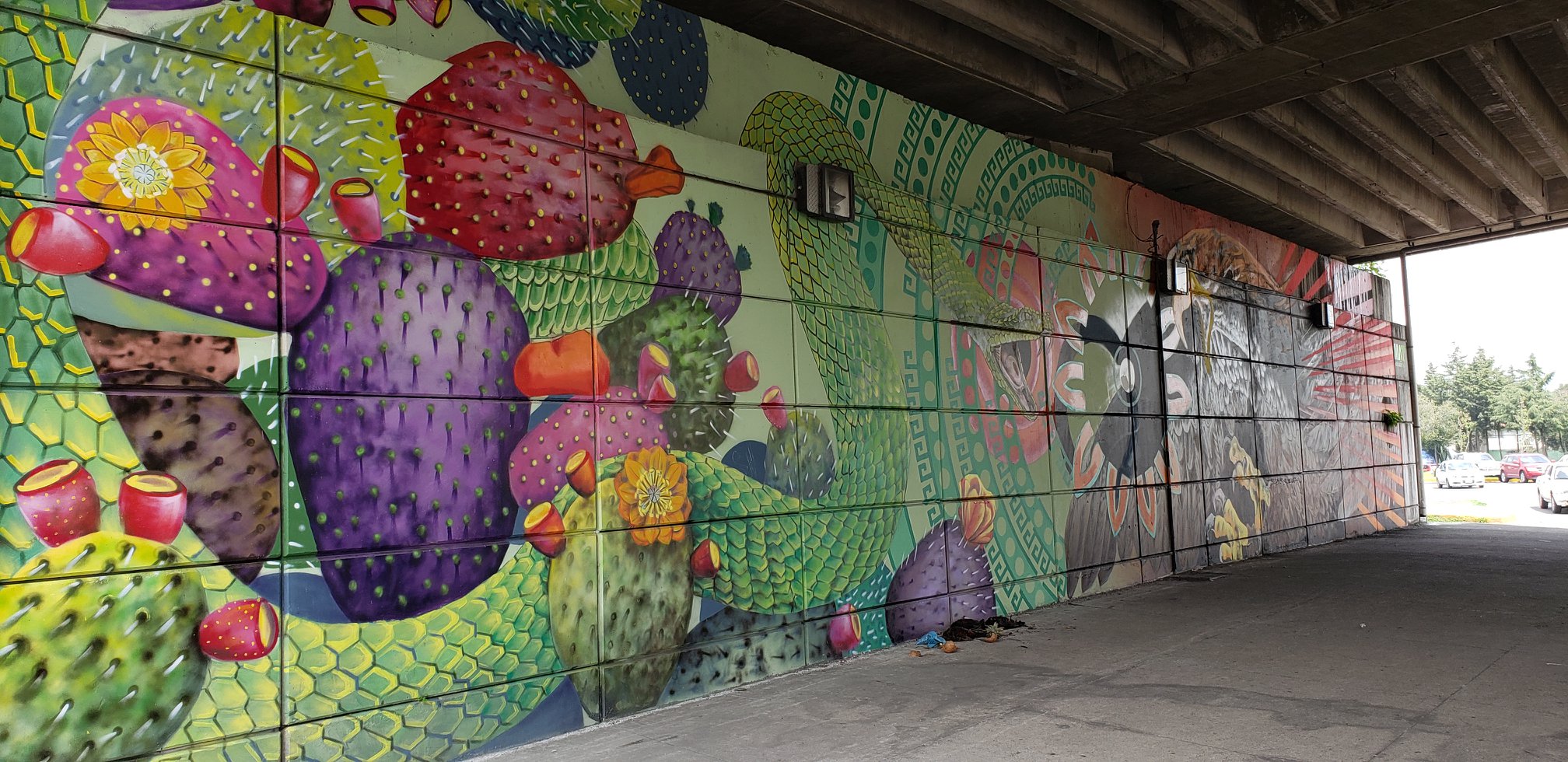 Avanza recuperación de bajo puentes en Tollocan