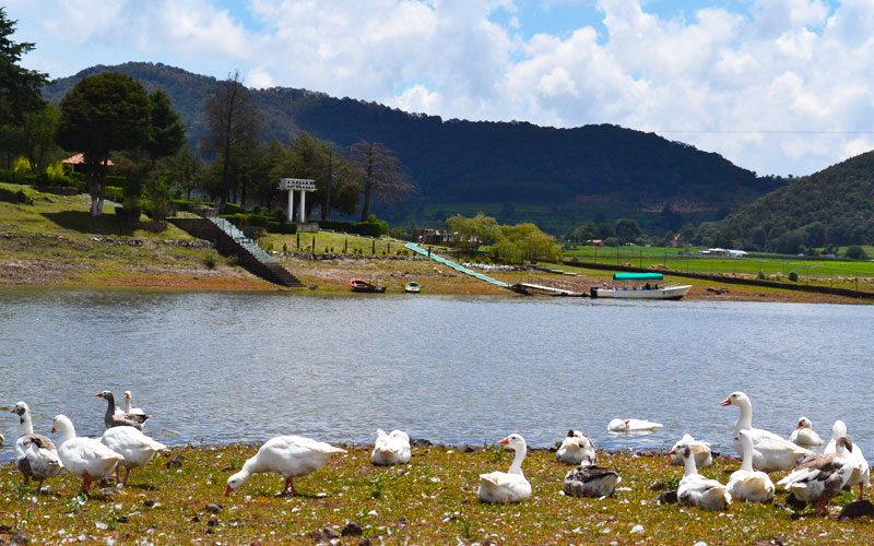Parque Isla de las Aves en EdoMéx