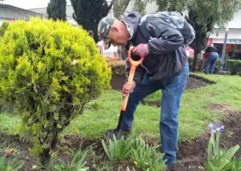 Busca Toluca recuperar espacios públicos para la población