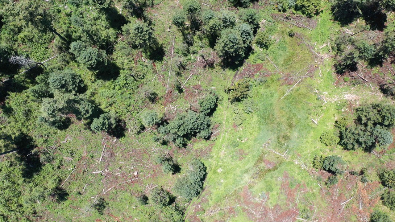 Defensores del Bosque de Agua en EdoMéx contra tala, terminan asesinados, encarcelados y buscados por autoridades.