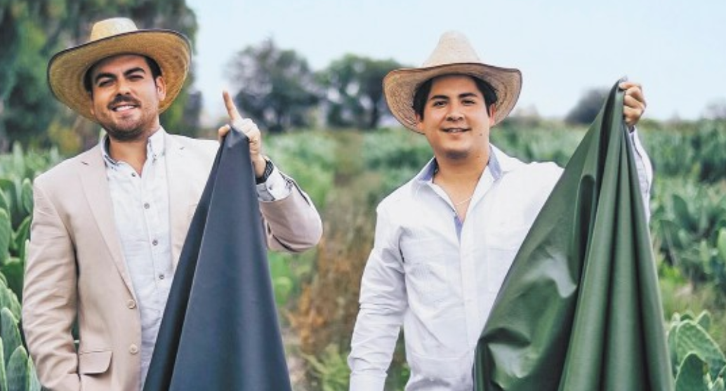 Mexicanos crean piel a base de nopal