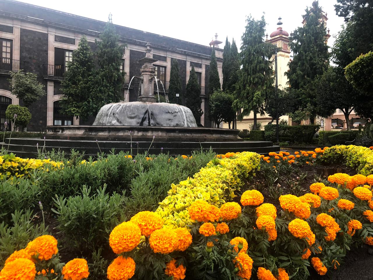 Toluca se vestirá de cempasúchil