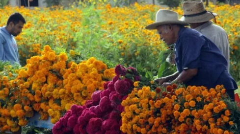 Derrama económica en Edoméx por Día de Muertos