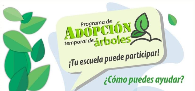 Programa temporal de adopción de árboles en escuelas de Toluca