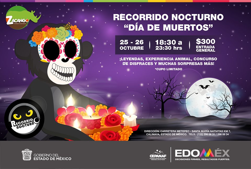 Recorrido nocturno de Día de Muertos en Zoológico de Zacango