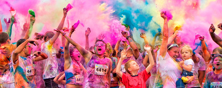 Carrera Cross Colors