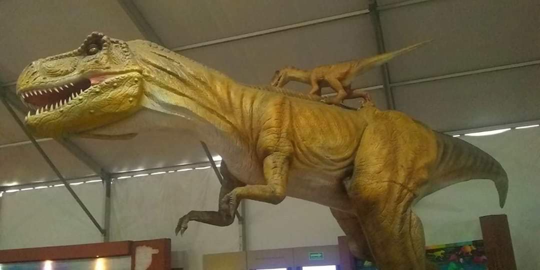 Inauguran exposición gigantes del desierto en Toluca