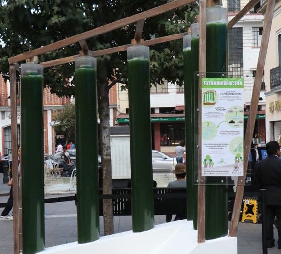 Instalan en Toluca Fotobiorreactor de microalgas para disminuir contaminación