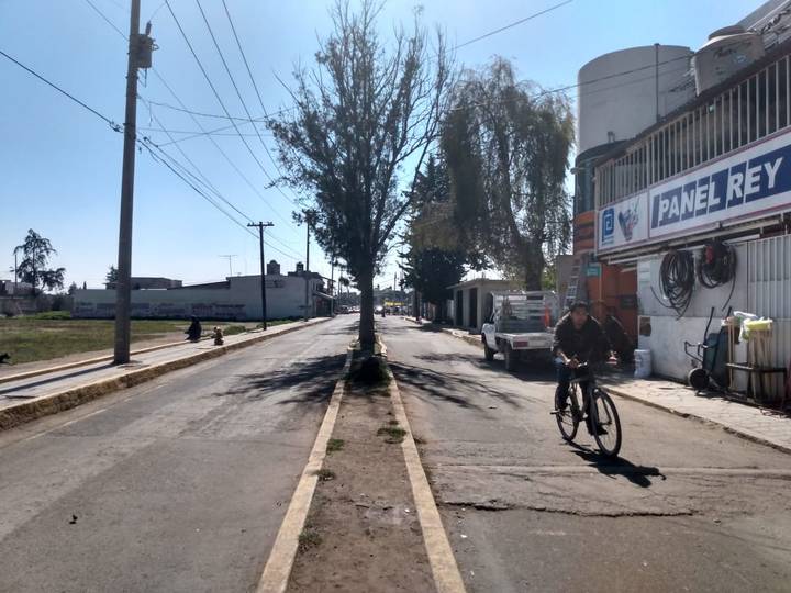 Yael fue atacado por una jauría de perros en Toluca y piden apoyo reconstruir su rostro