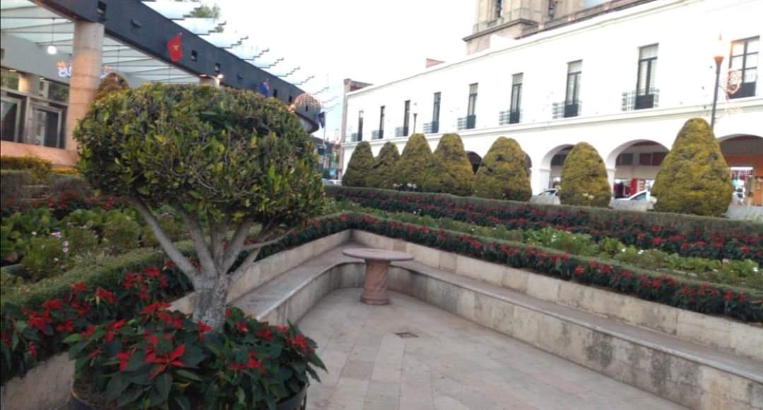 Toluca se viste de noche buena