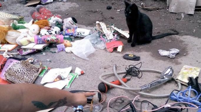 gatito vende chacharas en tianguis