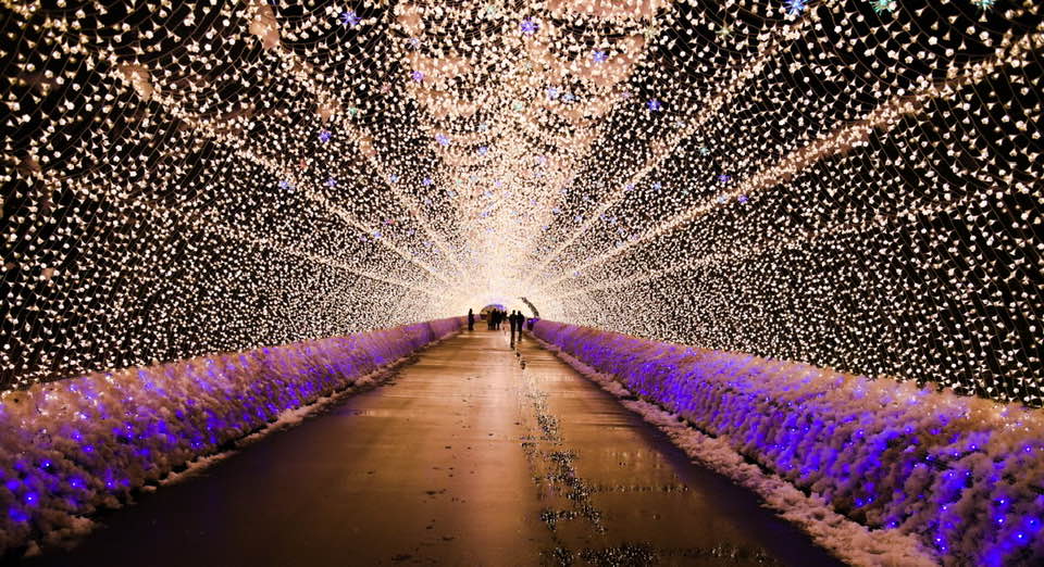 Lights of Japan Un evento unico en la CDMX