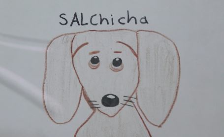 Niño busca a su perro extraviado con dibujos