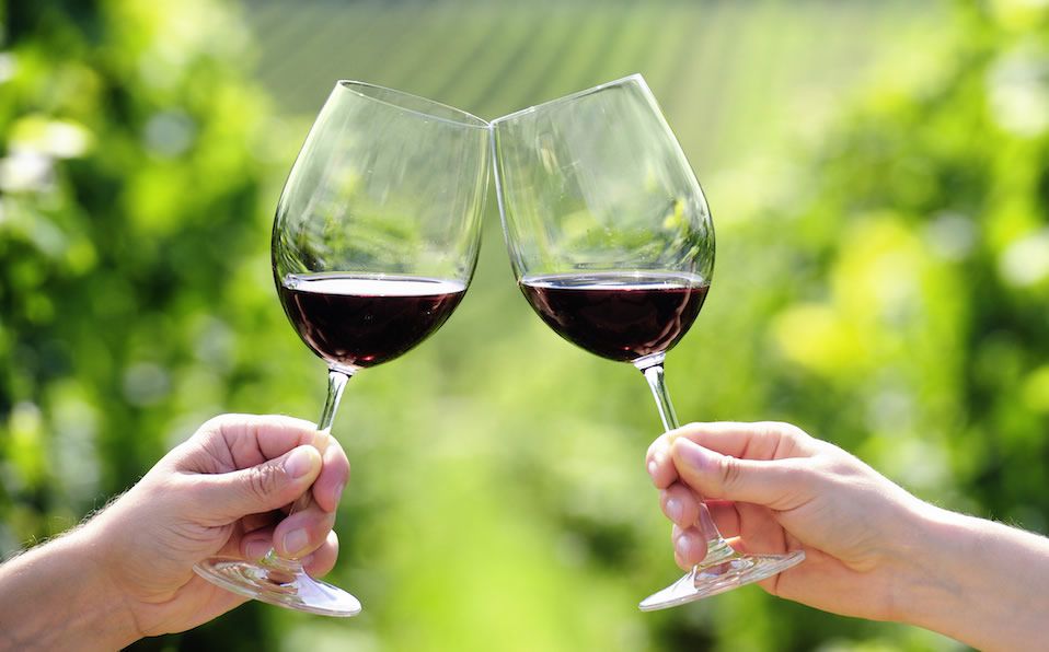 Tomar una copa de vino equivale a una hora de GYM