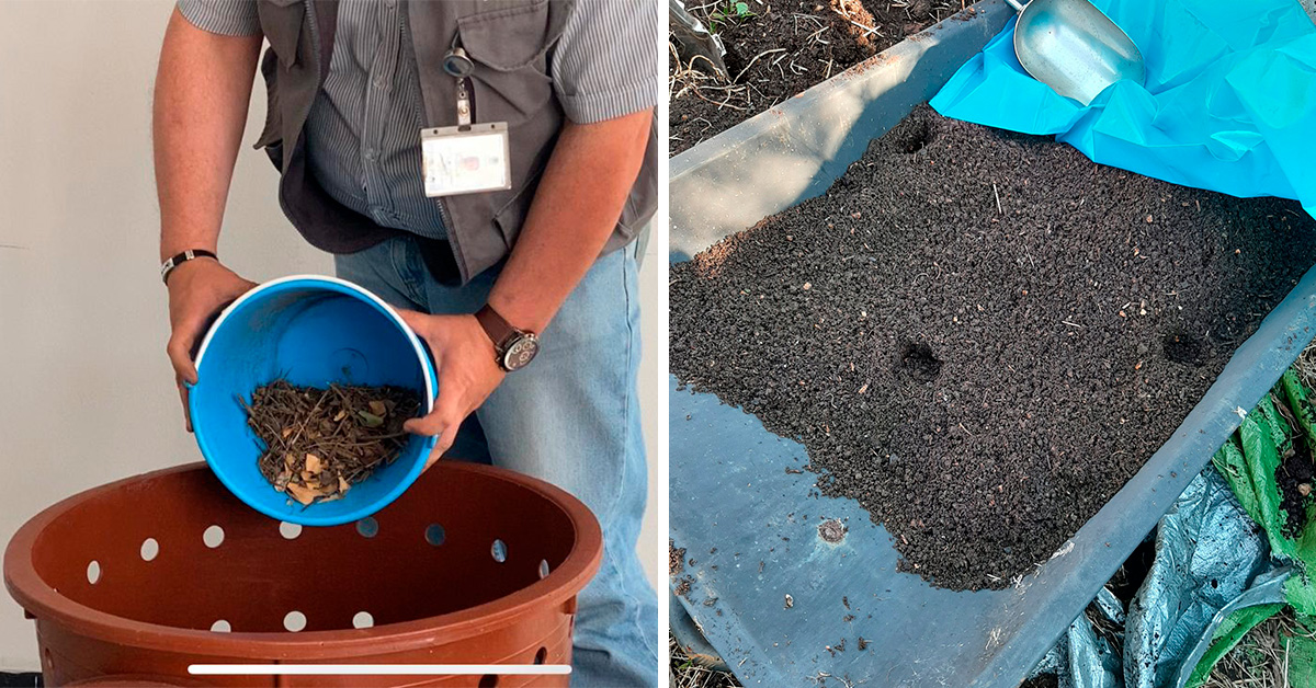 Cursos en línea sobre composta y manejo de residuos en Toluca