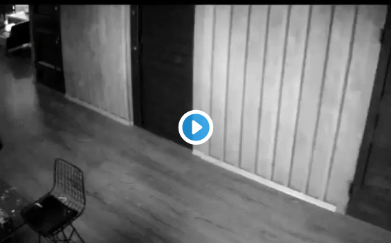 ladrón se asusta con su reflejo