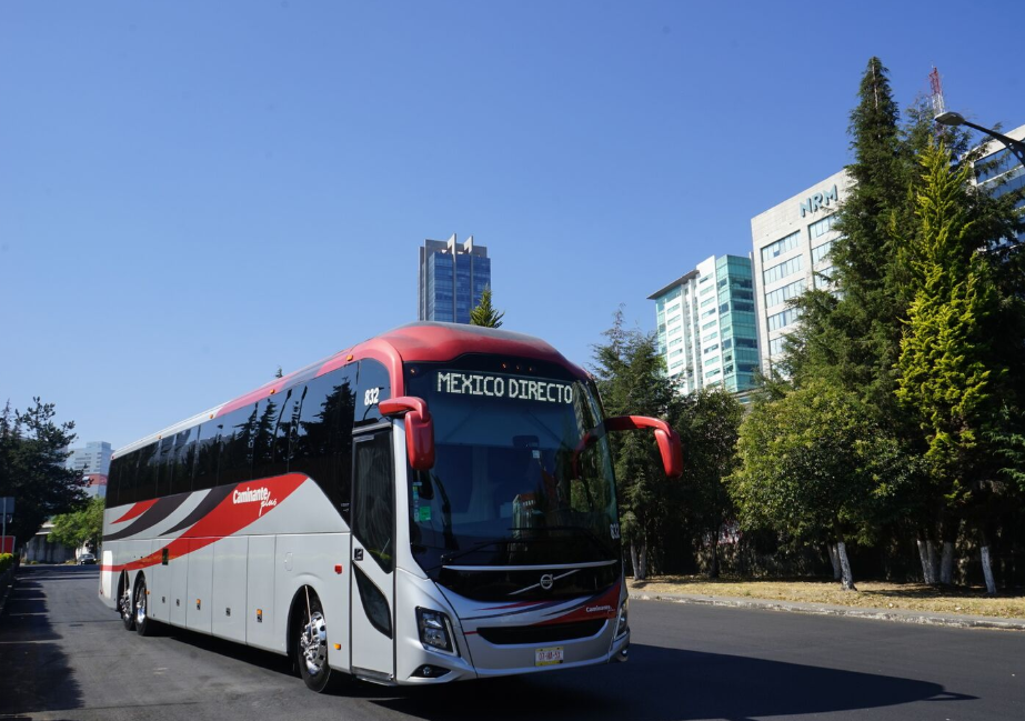 Servicios de transporte Caminante, Omnibus, Zinabus y Excelencia suspenden servicios