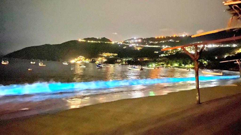 Fenómeno de bioluminiscencia en mar de Acapulco