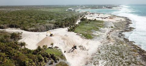 Destruyen santuario de tortugas marinas en Tulum para construir un hotel