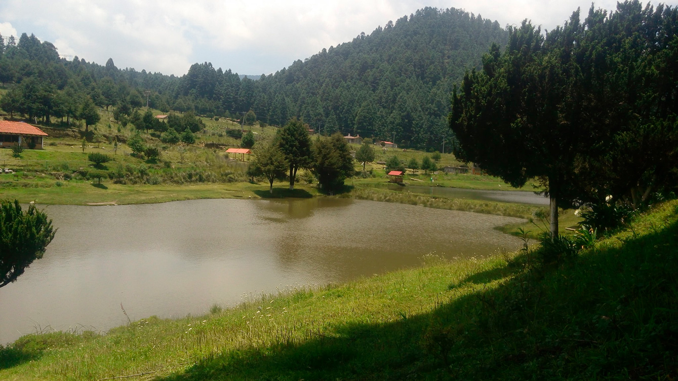 Espacios de La Marquesa y algunos comercios cerrados temporalmente