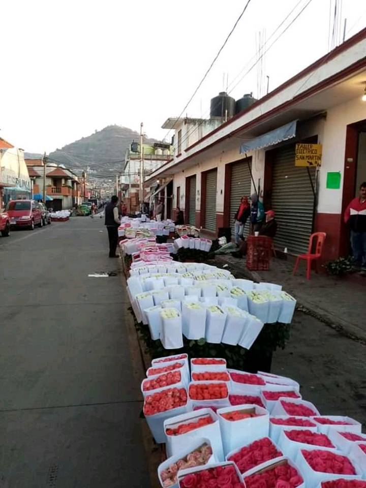 Floricultores del EdoMéx rematan o tiran su mercancía por falta de clientes por Covid-19