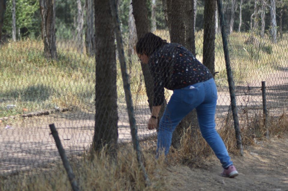 Pese a contingencia sanitaria, toluqueños entran sin permiso a Parque Alameda 2000
