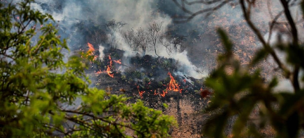 con-multa-y-carcel-podria-pagar-joven-de-tiktok-por-incendio-en-tepoztlan