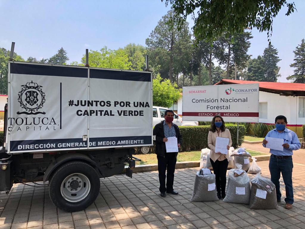 Toluca producirá sus propios árboles para reforestación