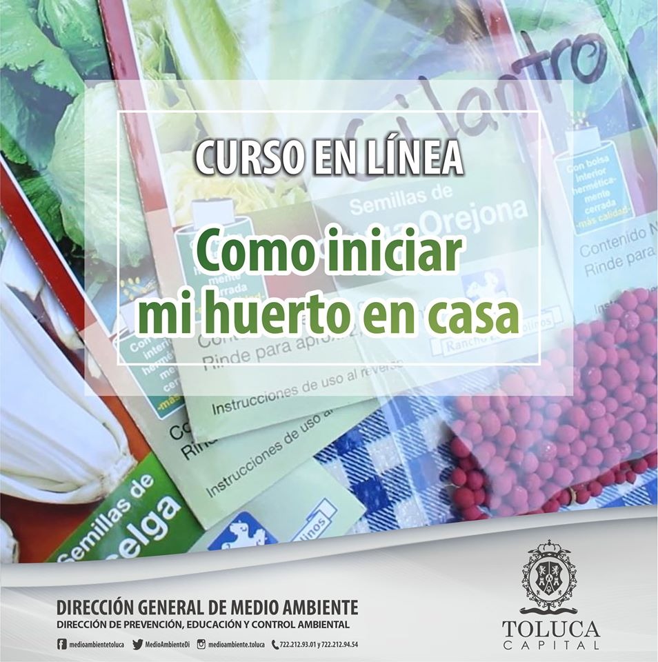 Medio Ambiente de Toluca ofrece talleres virtuales