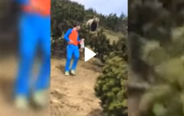 (Video) Niño se encuentra con oso y sorprende a todos con su reacción