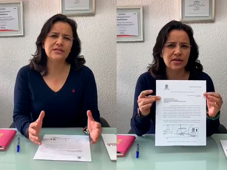 regidora-de-toluca-pide-someter-a-revision-despidos-servidores-públicos