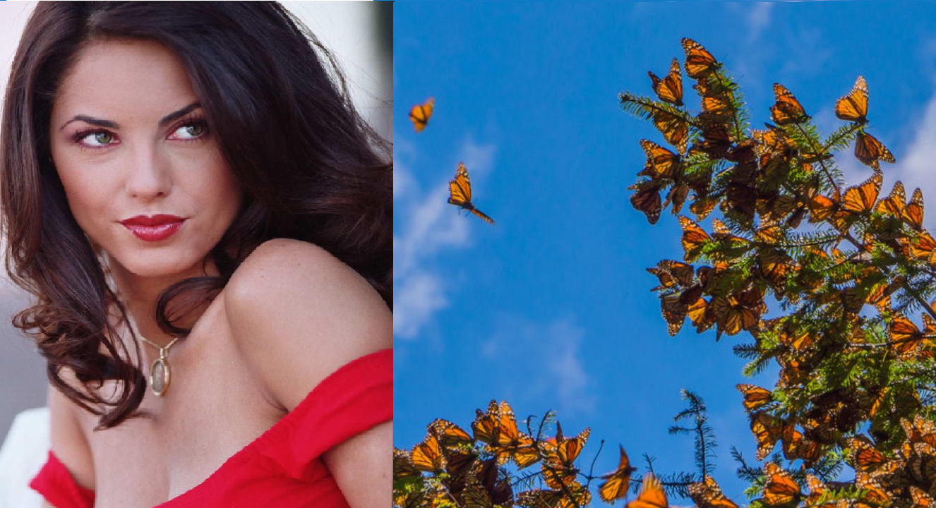 Artistas se pronuncian contra recorte de CONANP