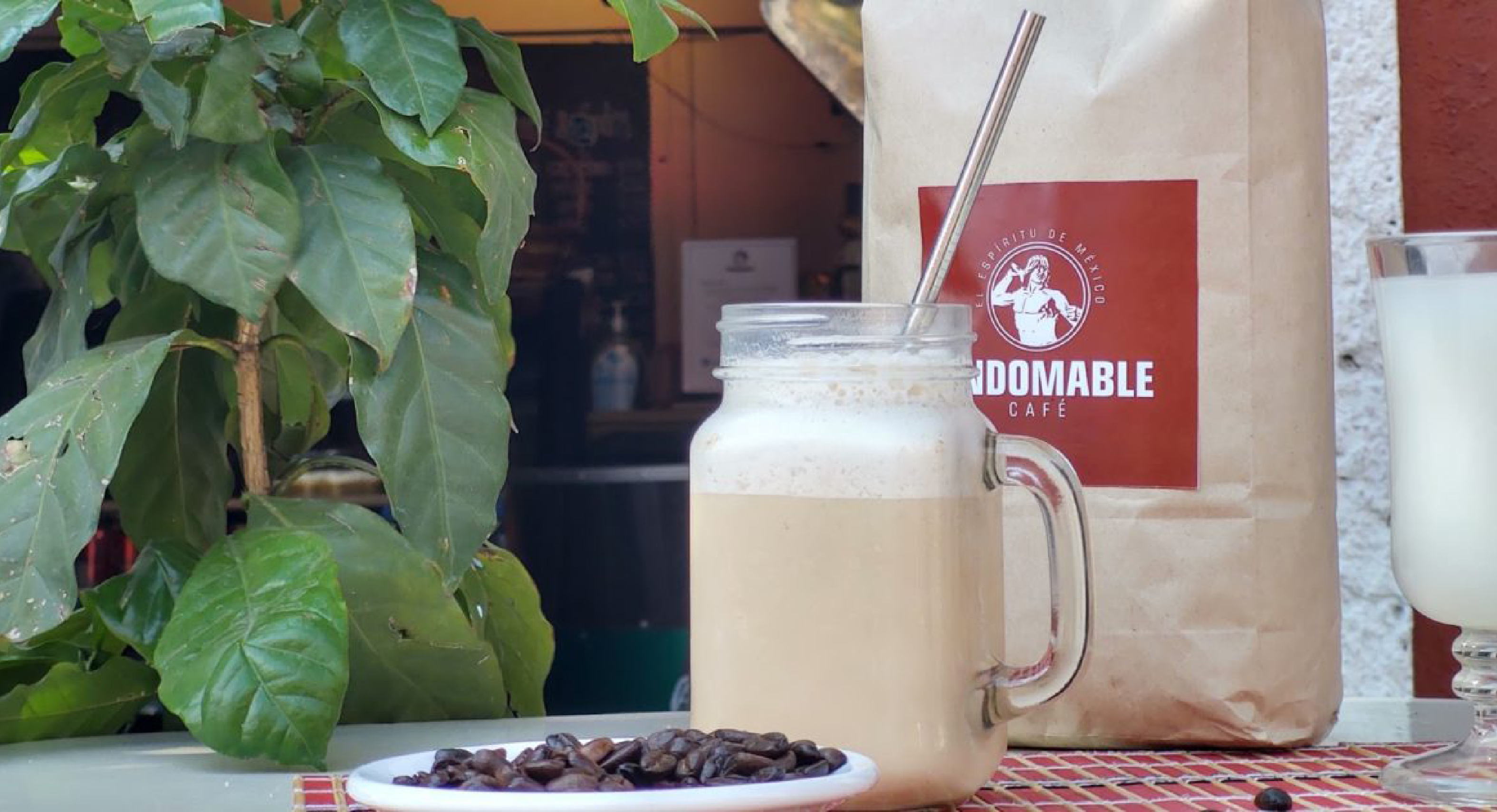 Conoce el delicioso frappé de pulque