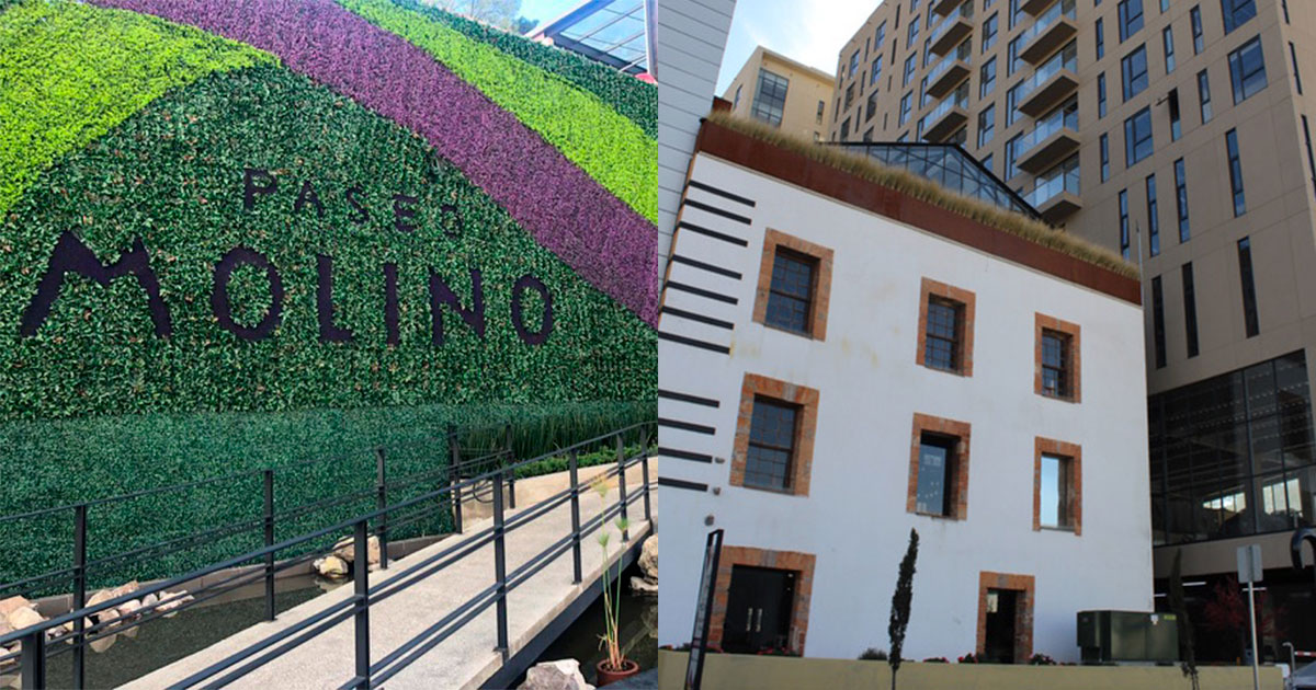 Paseo Molino listo para integrarse a la nueva normalidad