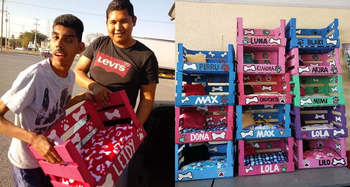 Estas camitas para perros son hechas por un joven con discapacidad