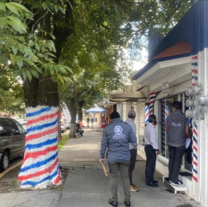 Instauran sanciones por daño a los árboles en Toluca