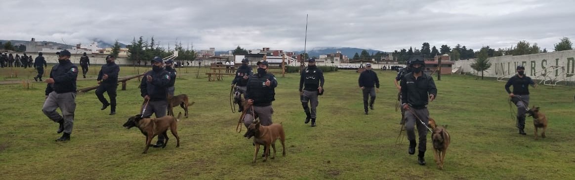 Realiza agrupamiento canino de Toluca 17 detenciones por diversos delitos