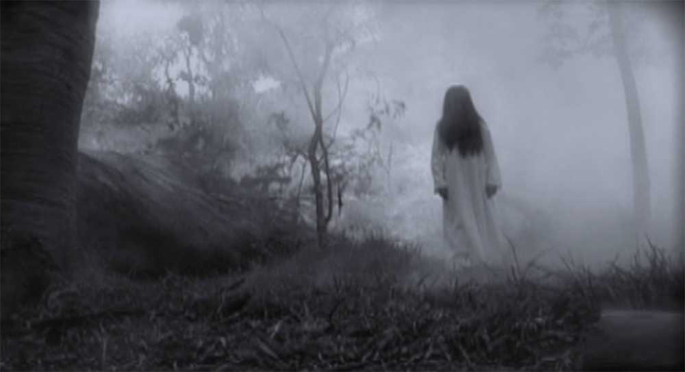 (Video) Campesino graba grito de la llorona mientras caminaba en bosque