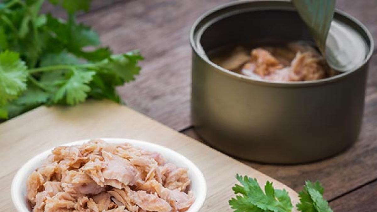 Encuentran carne de delfín en marcas de atún enlatado en México